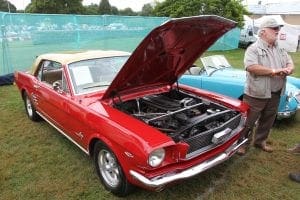 img_4005-mustang-havelock