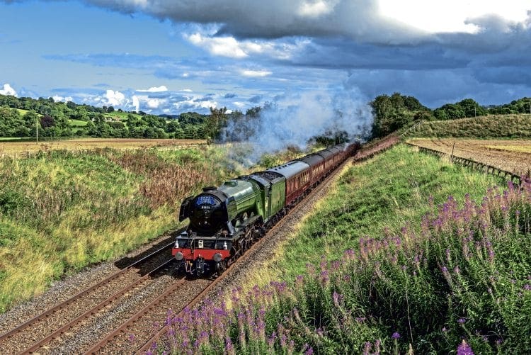 LNER A3 Pacific No. 60103 Flying Scotsman passes Moralee Bridge near Haydon Bridge in the Tyne Valley with the Railway Touring Company’s ‘Waverley’ from York to Carlisle on September 4. HENRY ELLIOTT 