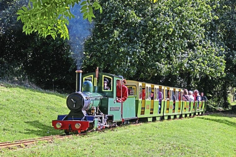 Train Kingdom no Steam