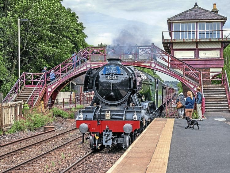 The maximum permitted length train for ‘A3’ No. 60103 Flying Scotsman – unassisted – is 12 carriages. With just that load, it passes Haltwhistle with the diverted July 17 ‘Waverley’ for Carlisle. JOHN COOPER SMITH 