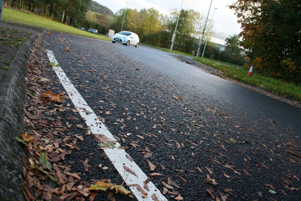 Dry dead leaves aren't a problem - wet ones are