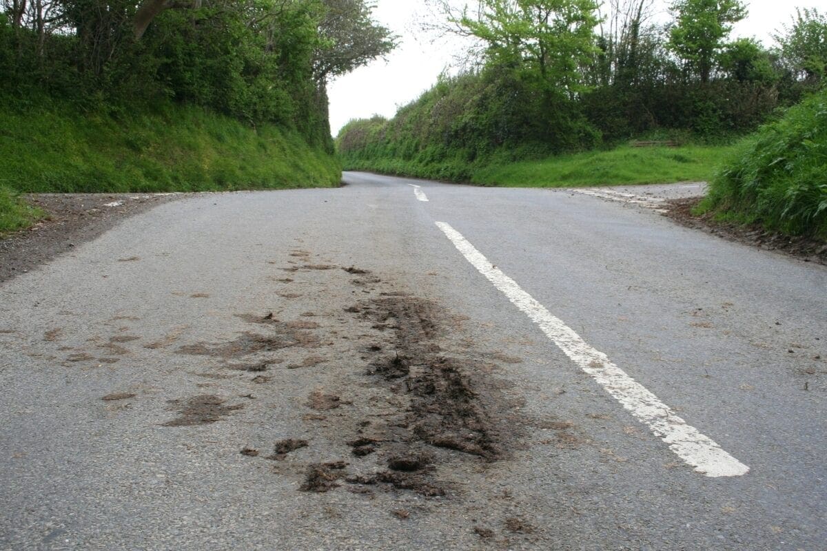 In a dry spell, this was all the mud we could find, but it'll be back (to be honest, it isn't mud, but horse poo)